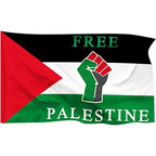 FreeFalasteen - OnlyFans Creator