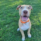 Remiel - OnlyFans Creator