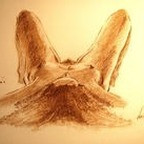 Mapa.- - OnlyFans Creator