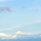 Jensen Bujs - OnlyFans Creator