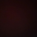 sativa_rose🌹 - OnlyFans Creator