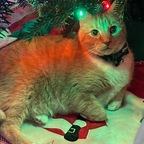 Abby Speich - OnlyFans Creator