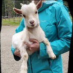 Farm Nurse Britt ✨️ - OnlyFans Creator