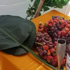 Girthy Brook - OnlyFans Creator