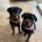 Samantha - OnlyFans Creator