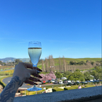 Naxeli - OnlyFans Creator