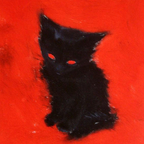 trans heat 🔥 - OnlyFans Creator