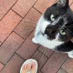 T Toes - OnlyFans Creator