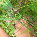 Ketlyn - OnlyFans Creator