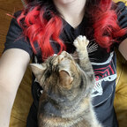 Lilly Flowers - OnlyFans Creator