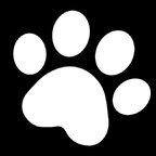 밤고양이 - OnlyFans Creator