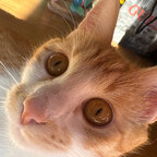 SweetPeach - OnlyFans Creator