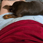 Smoking Hot Grandma - OnlyFans Creator