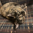 Mad Love Kim Life - OnlyFans Creator