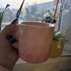 Ankol - OnlyFans Creator