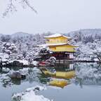 HanZii - OnlyFans Creator