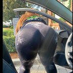 Pumpkin Spice - OnlyFans Creator