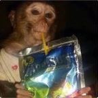 Yooooo mama - OnlyFans Creator